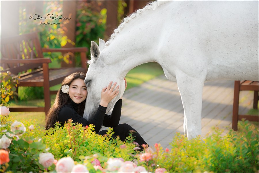  лошади и люди  ◆ horse and human
