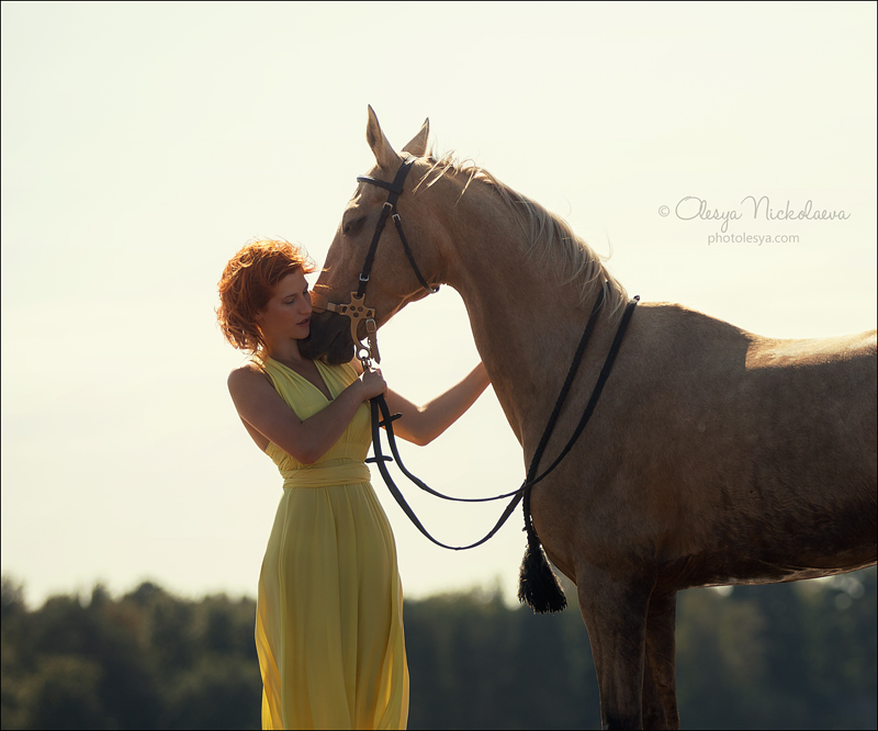  лошади и люди  ◆ horse and human
