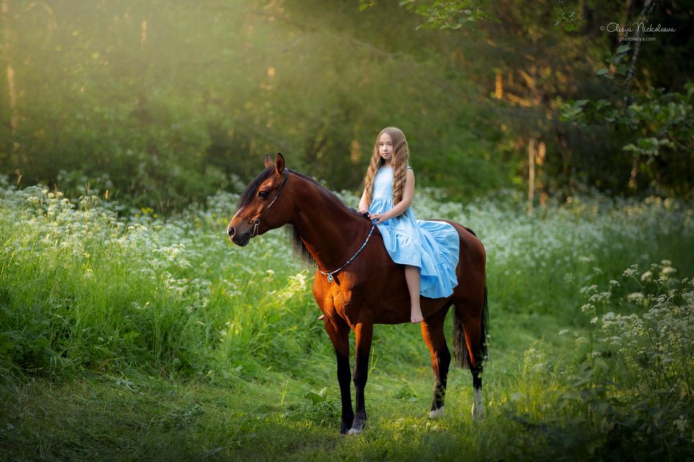  лошади и люди  ◆ horse and human