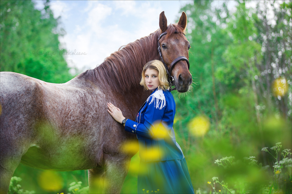  лошади и люди  ◆ horse and human