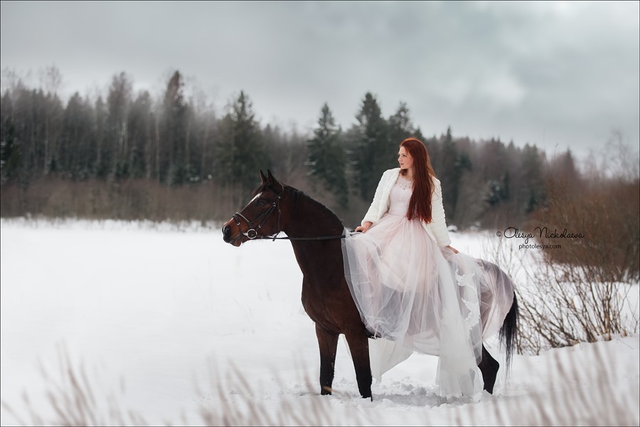  лошади и люди  ◆ horse and human
