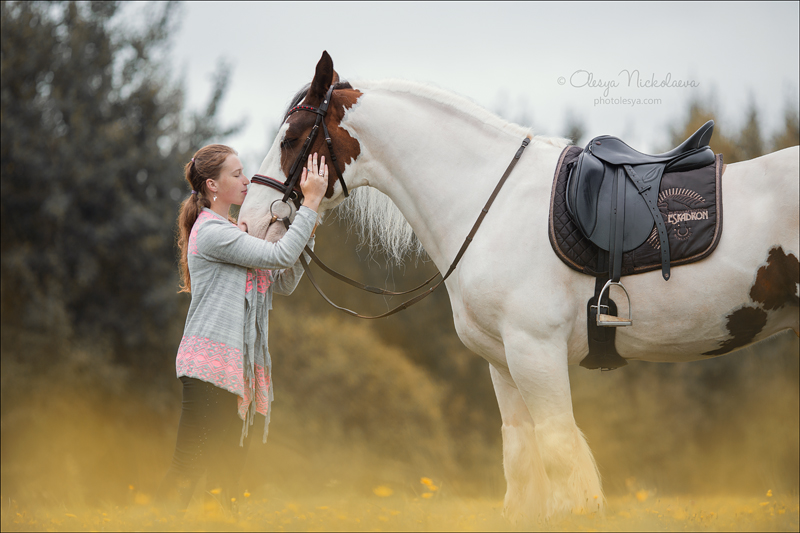  лошади и люди  ◆ horse and human