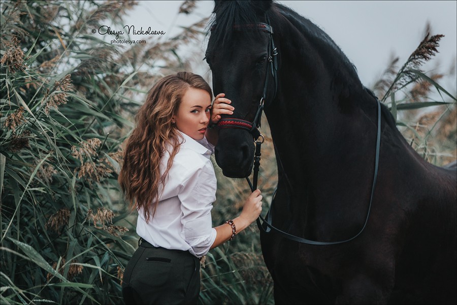  лошади и люди  ◆ horse and human
