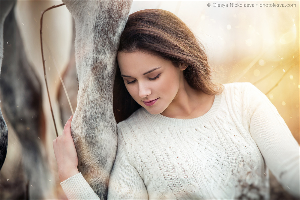  лошади и люди  ◆ horse and human