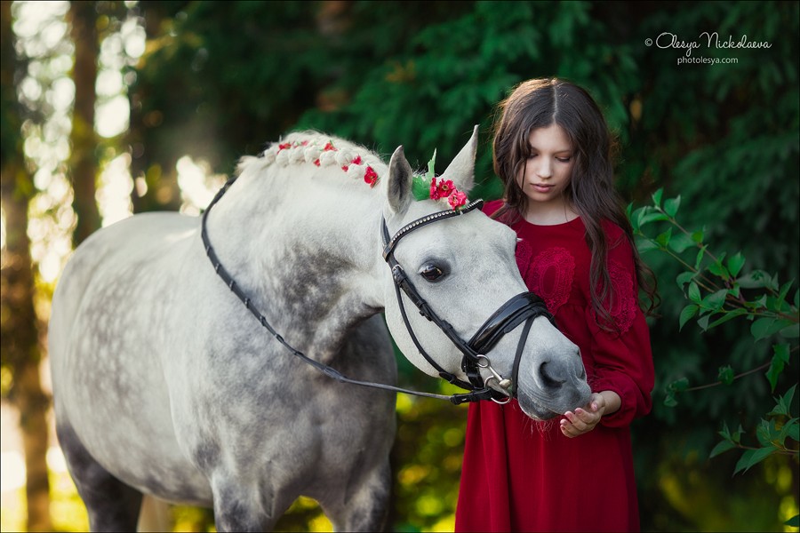  лошади и люди  ◆ horse and human