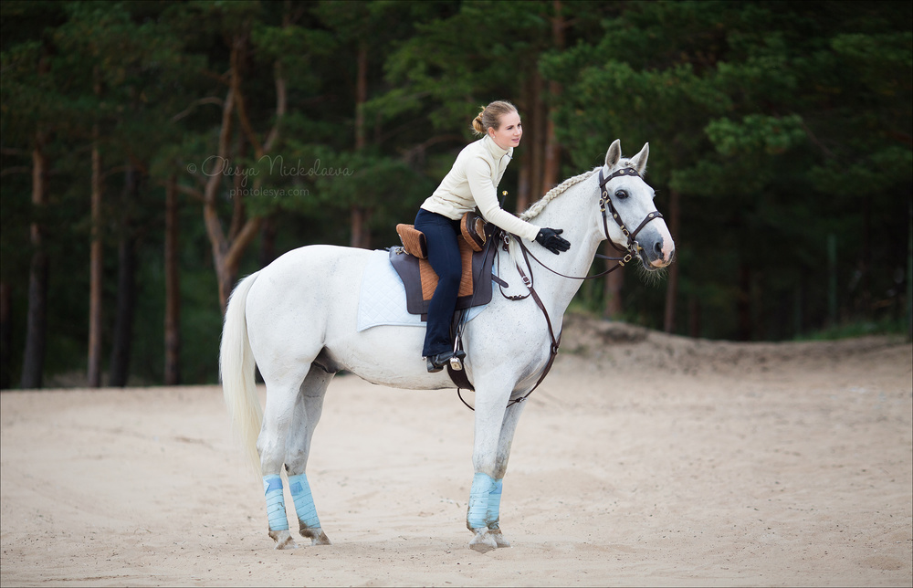  лошади и люди  ◆ horse and human