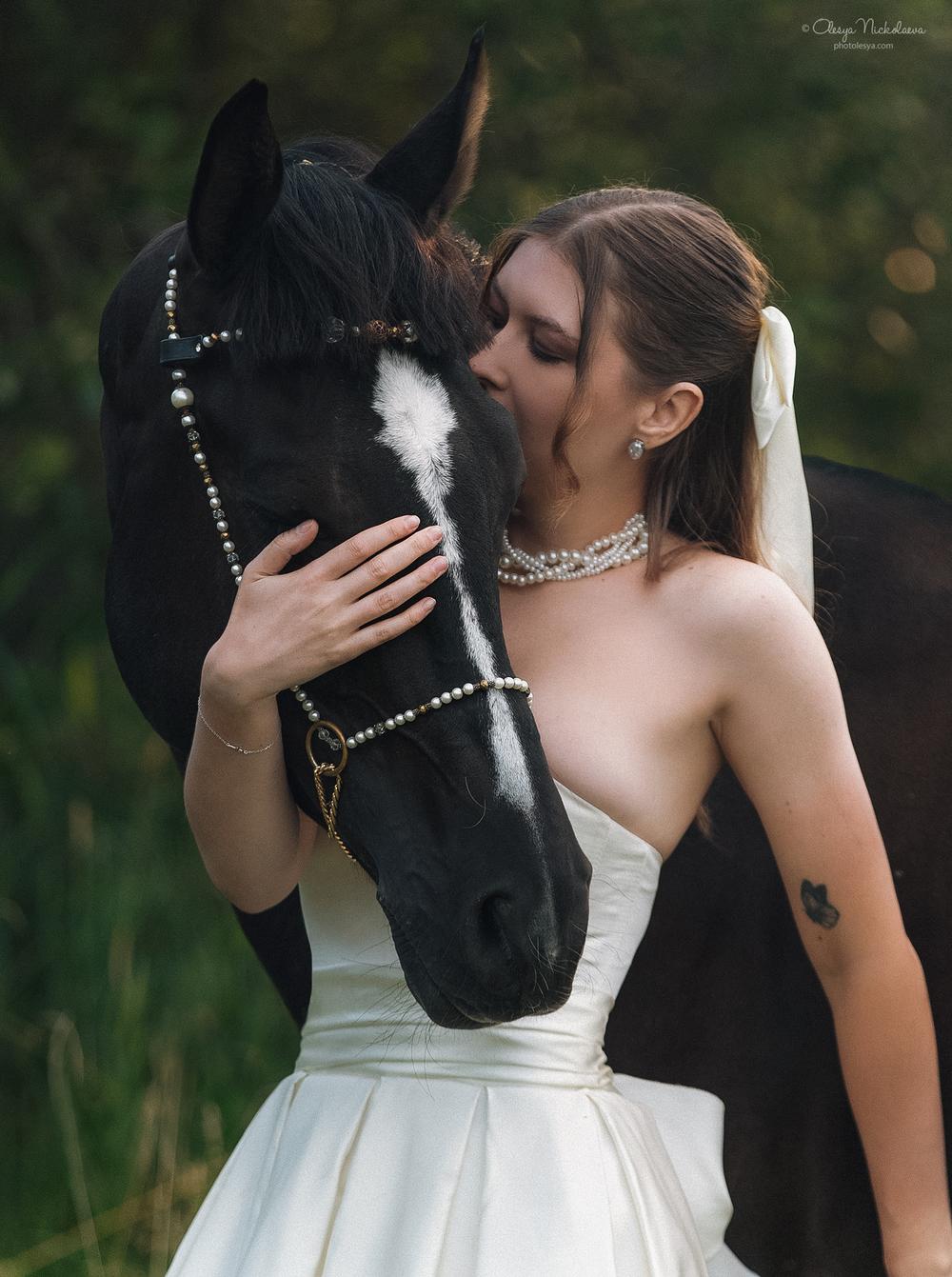  лошади и люди  ◆ horse and human