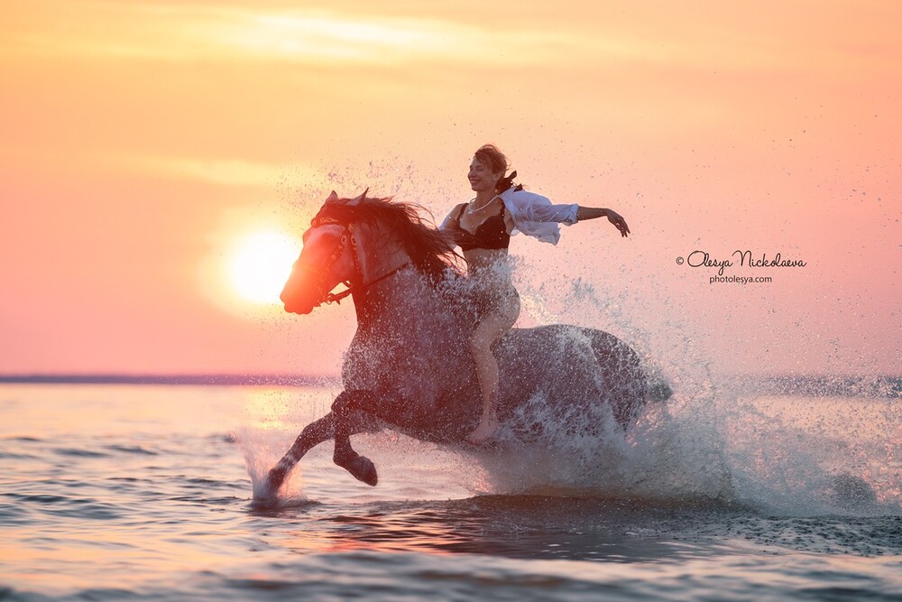 лошади и люди  ◆ horse and human
