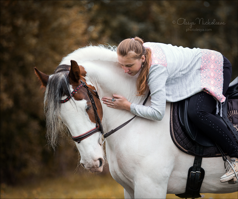  лошади и люди  ◆ horse and human