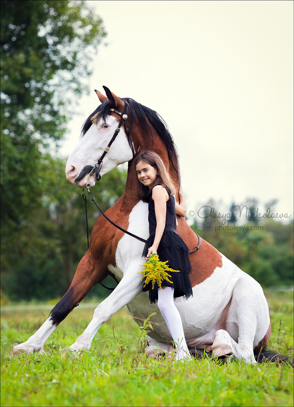  лошади и люди  ◆ horse and human
