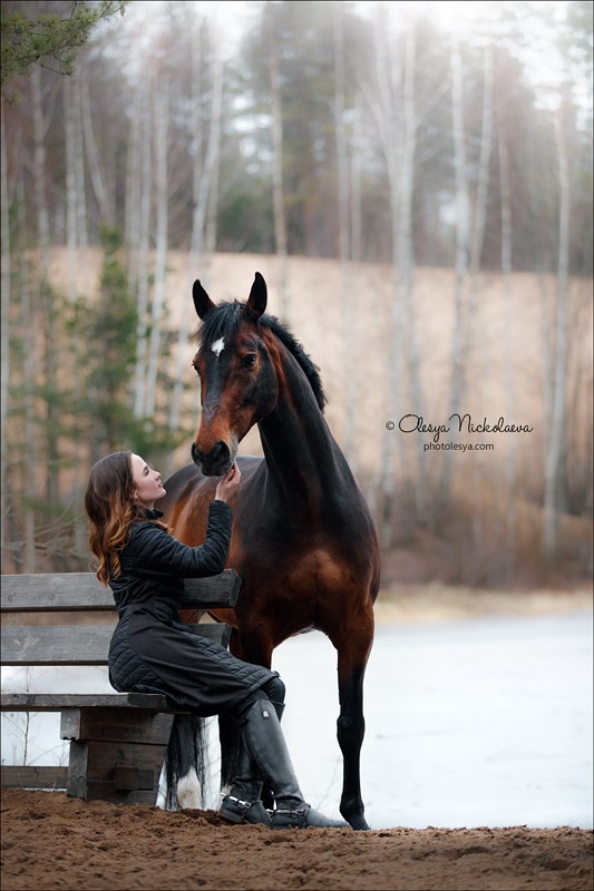  лошади и люди  ◆ horse and human