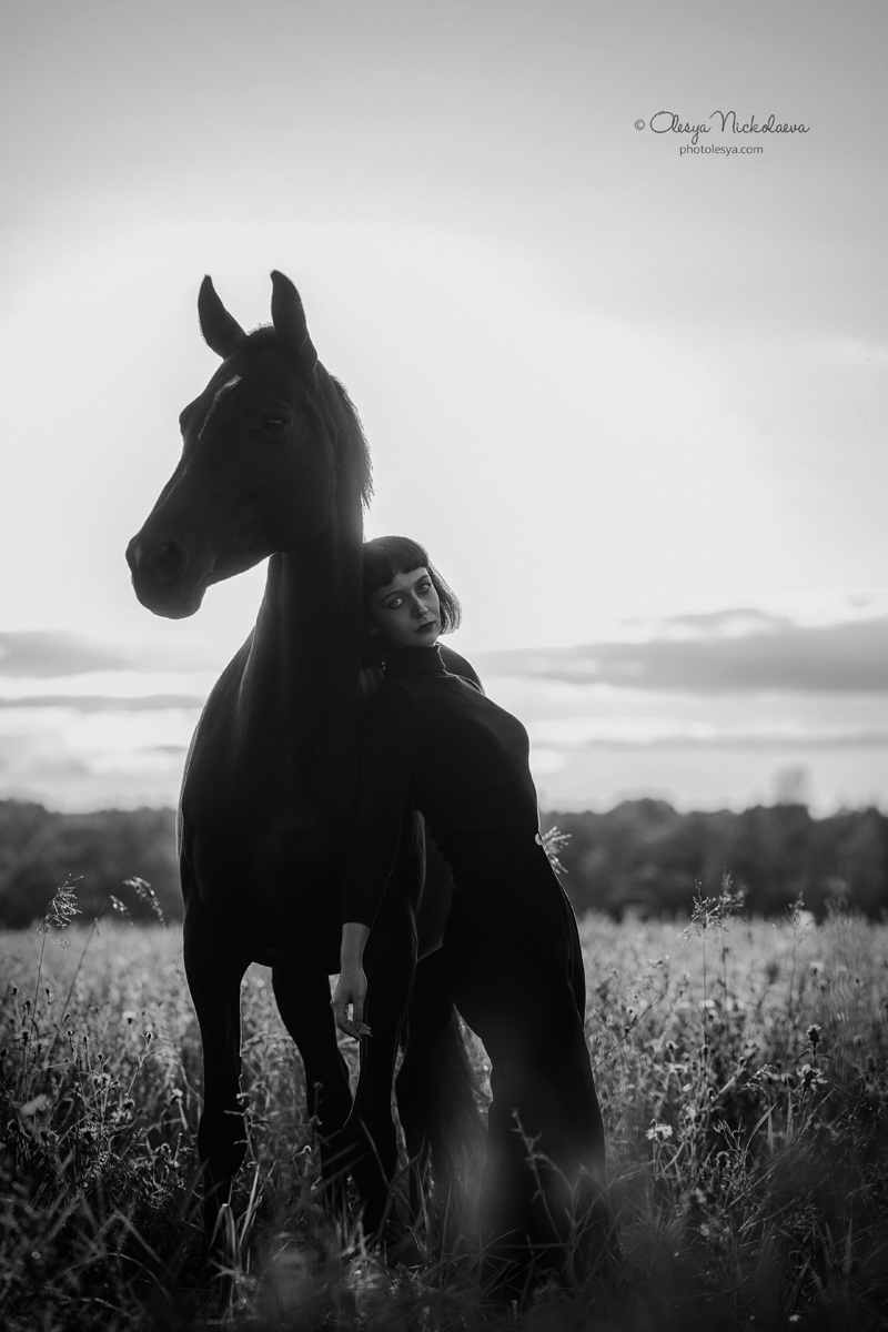  лошади и люди  ◆ horse and human