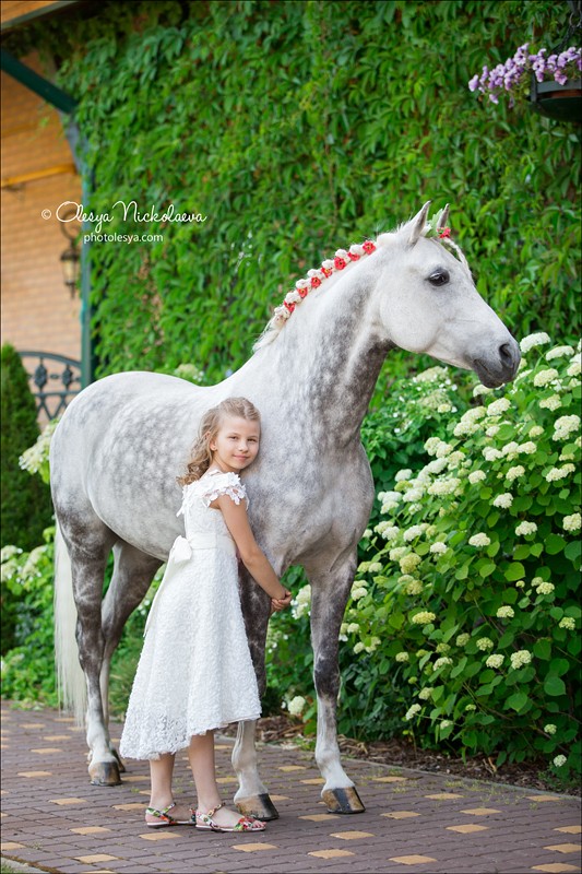  лошади и люди  ◆ horse and human