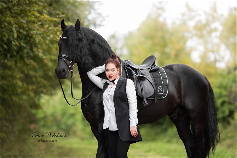  лошади и люди  ◆ horse and human