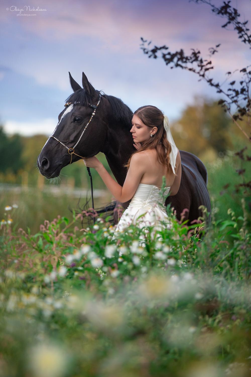 лошади и люди  ◆ horse and human