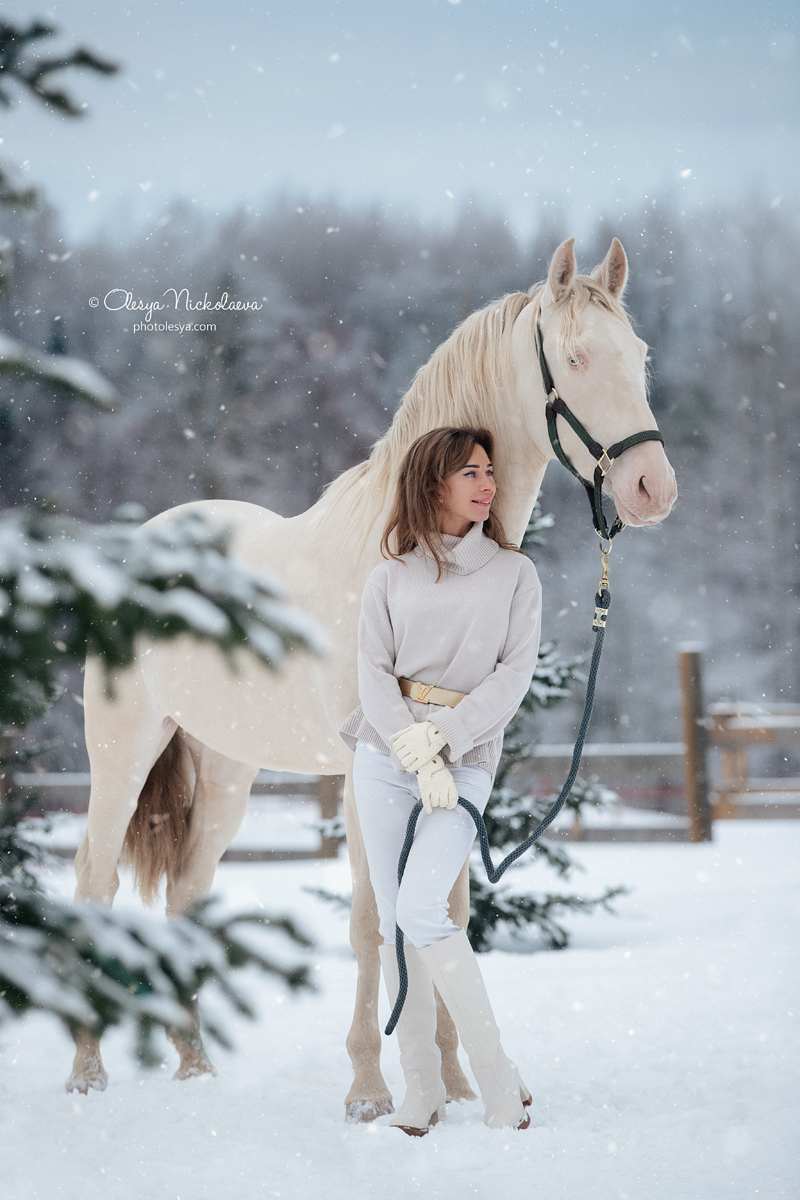  лошади и люди  ◆ horse and human