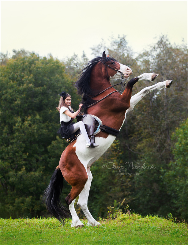  лошади и люди  ◆ horse and human