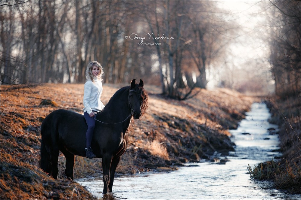  лошади и люди  ◆ horse and human