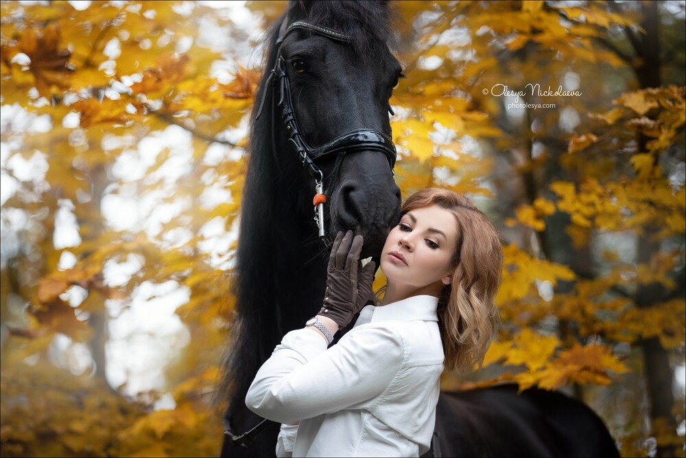  лошади и люди  ◆ horse and human