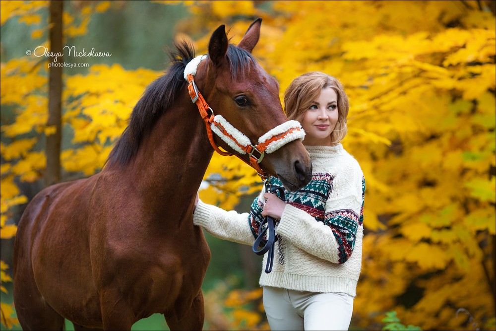  лошади и люди  ◆ horse and human