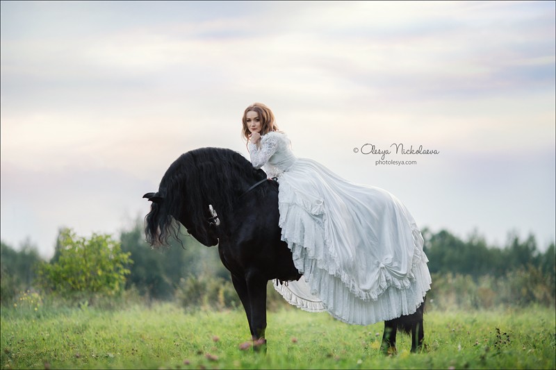  лошади и люди  ◆ horse and human
