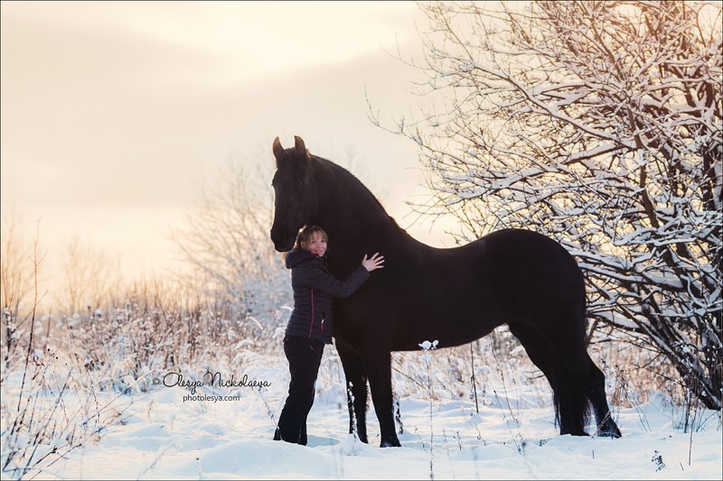  лошади и люди  ◆ horse and human