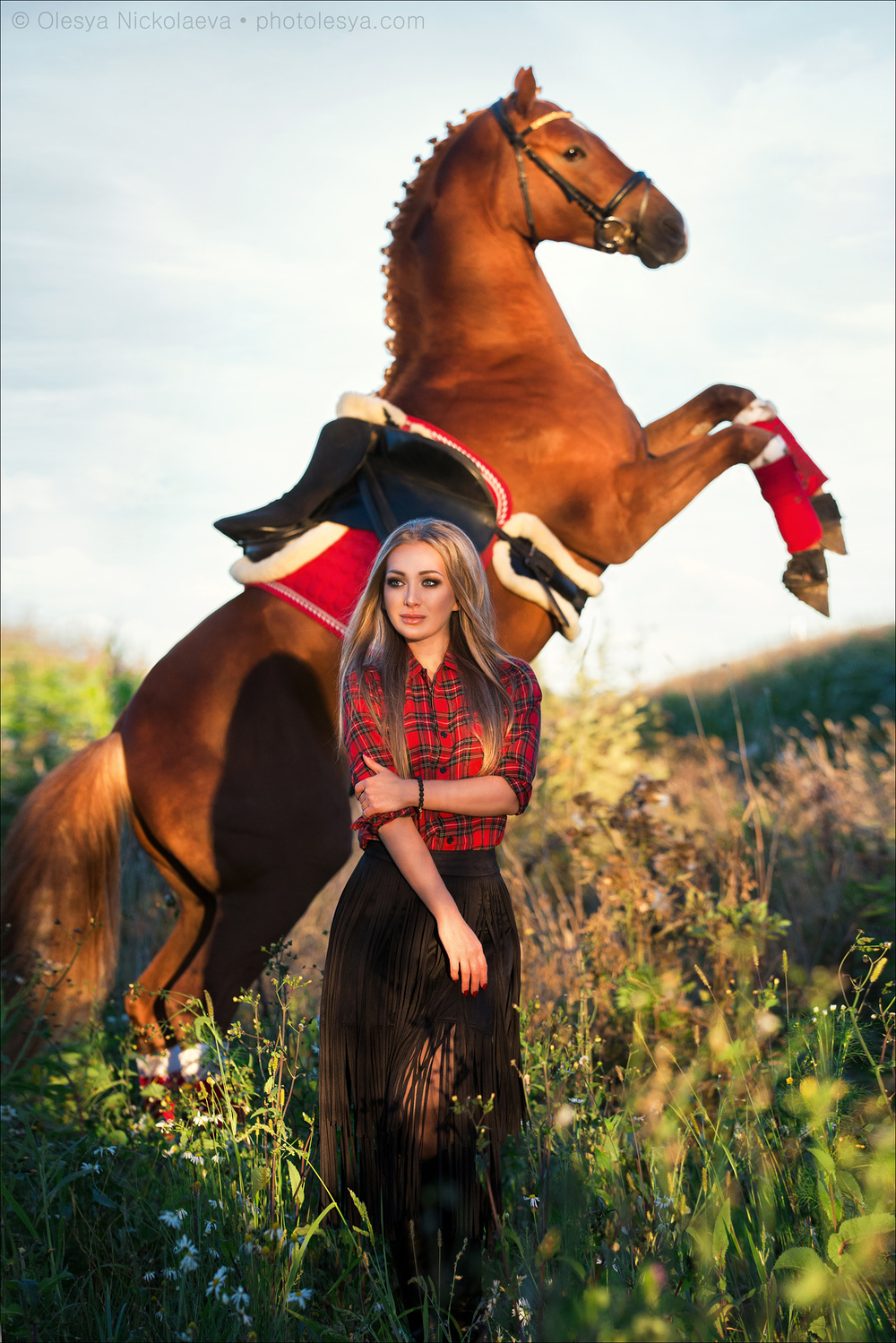  лошади и люди  ◆ horse and human
