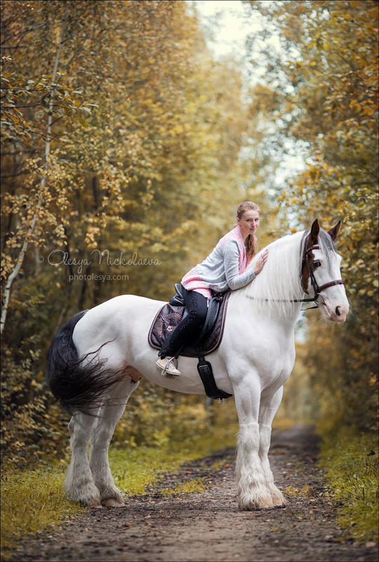  лошади и люди  ◆ horse and human
