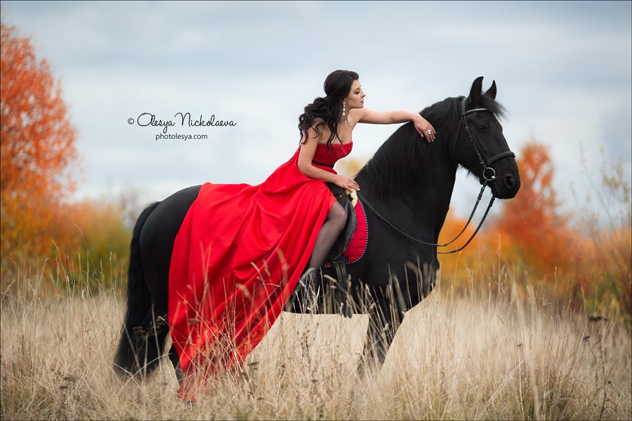  лошади и люди  ◆ horse and human