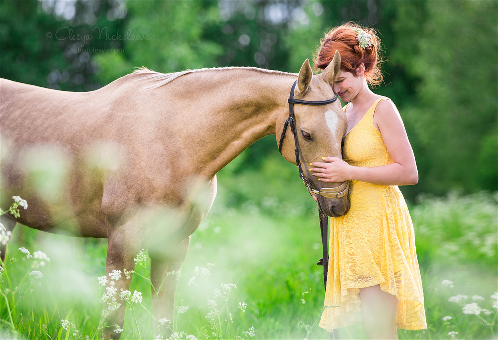  лошади и люди  ◆ horse and human