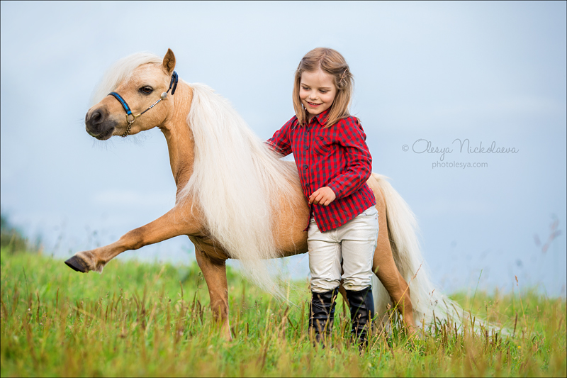  лошади и люди  ◆ horse and human