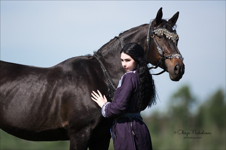  лошади и люди  ◆ horse and human