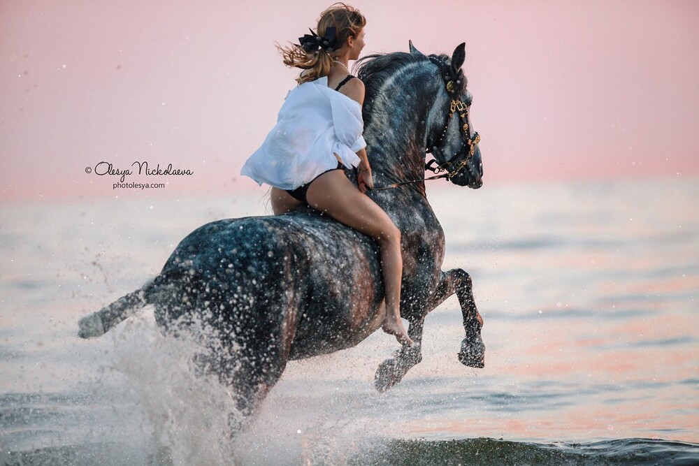  лошади и люди  ◆ horse and human