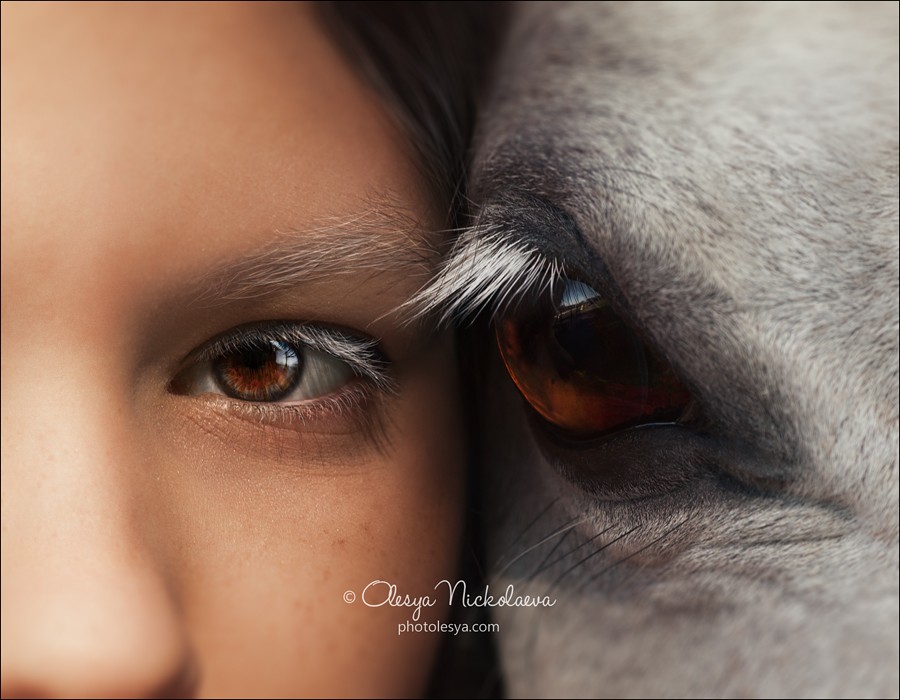  лошади и люди  ◆ horse and human