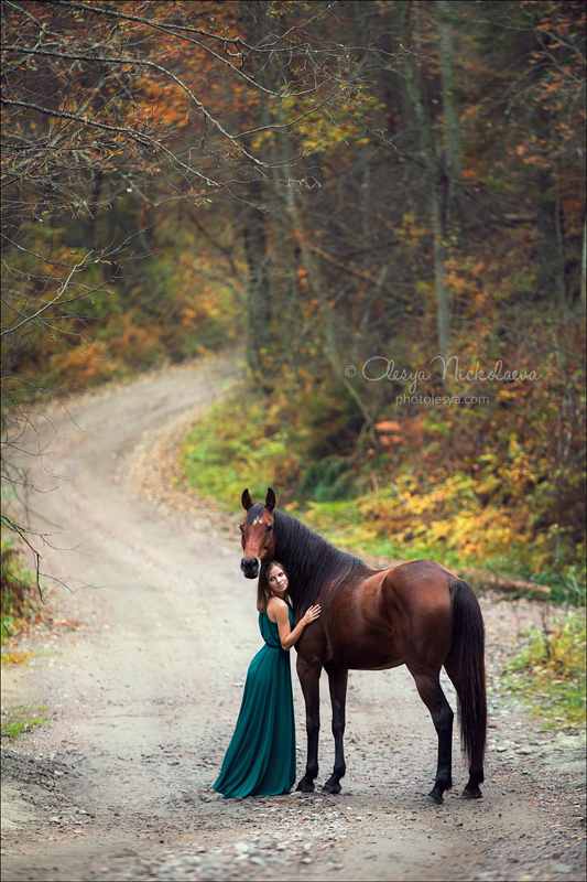  лошади и люди  ◆ horse and human
