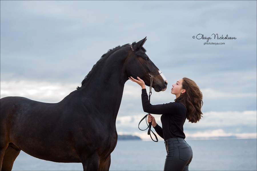  лошади и люди  ◆ horse and human