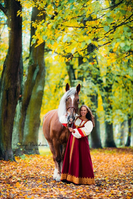  лошади и люди  ◆ horse and human
