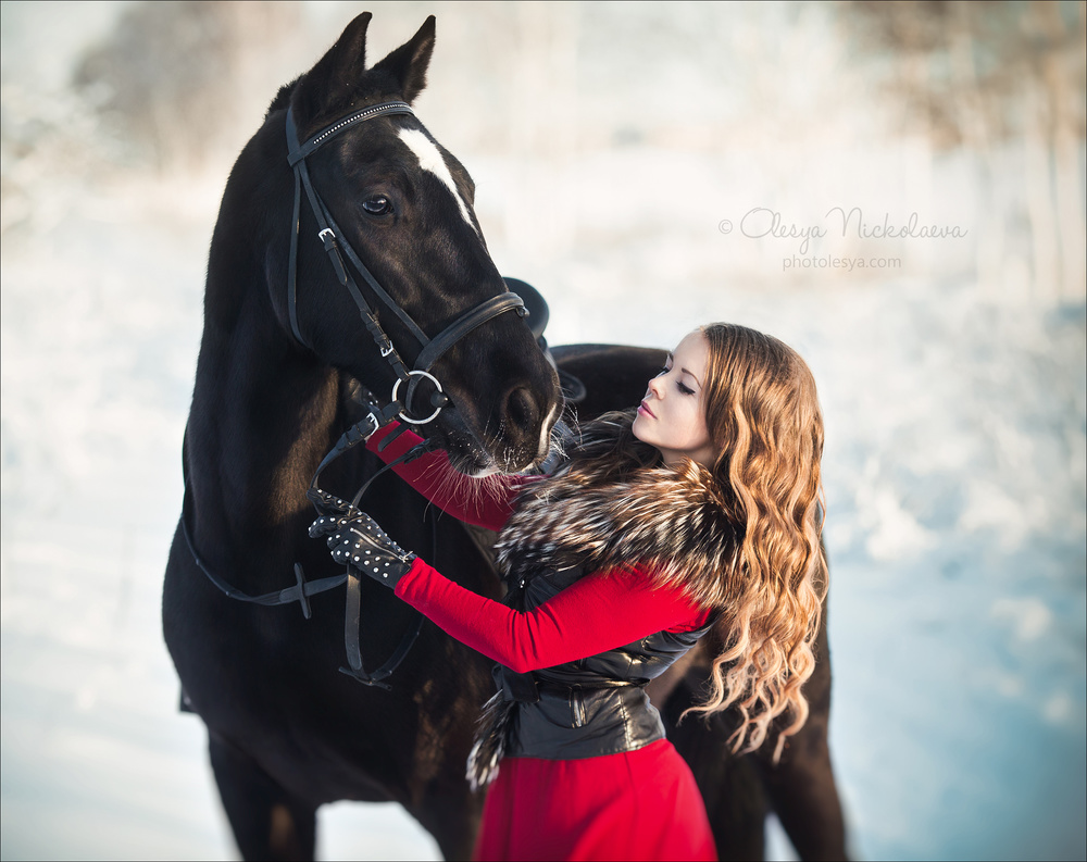  лошади и люди  ◆ horse and human