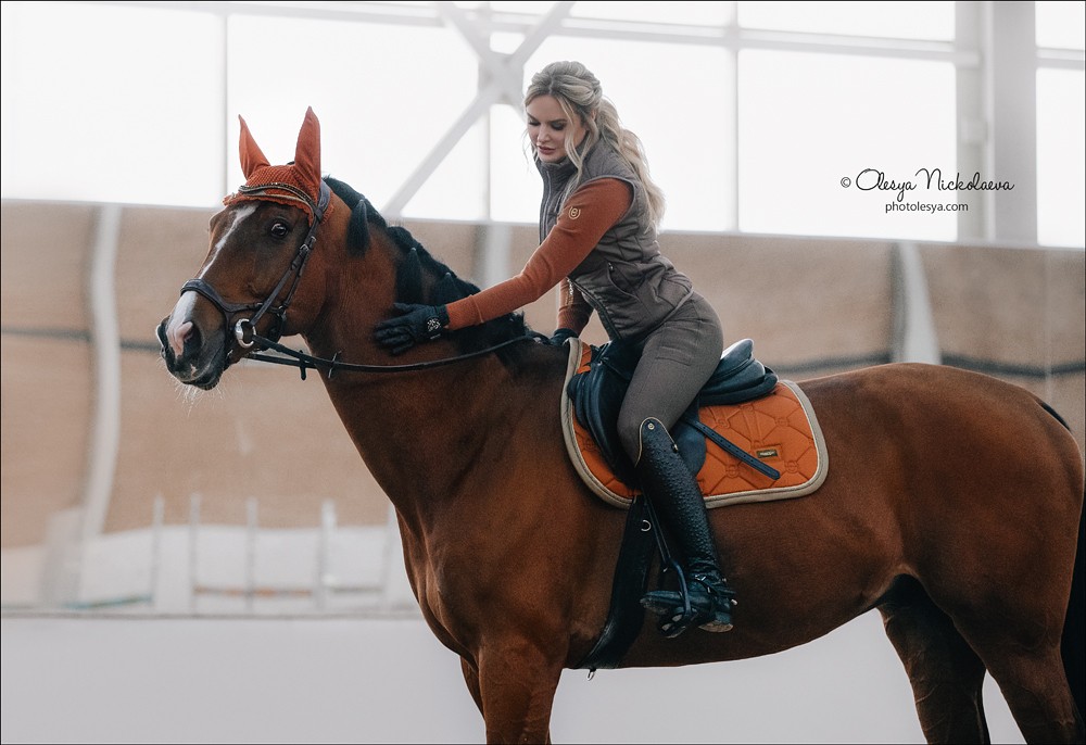  лошади и люди  ◆ horse and human