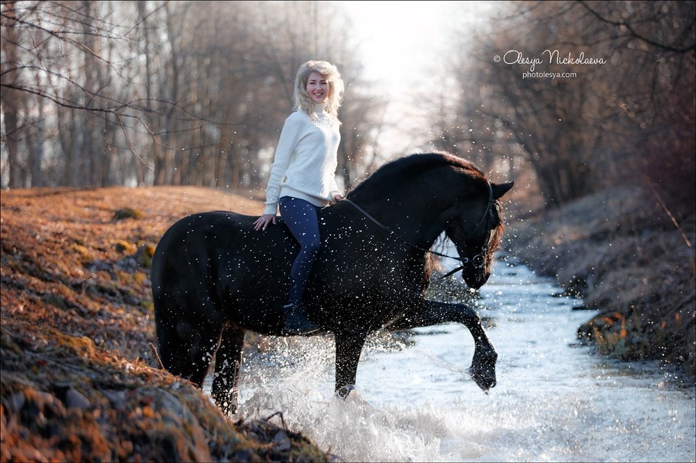  лошади и люди  ◆ horse and human