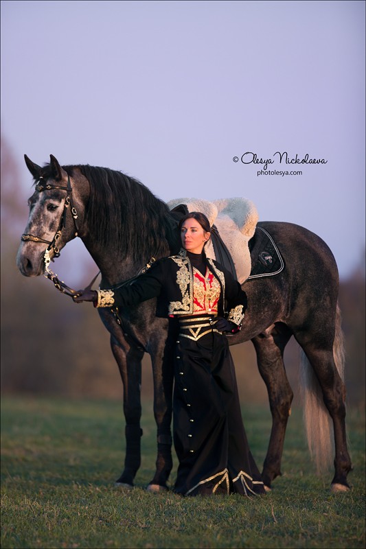  лошади и люди  ◆ horse and human