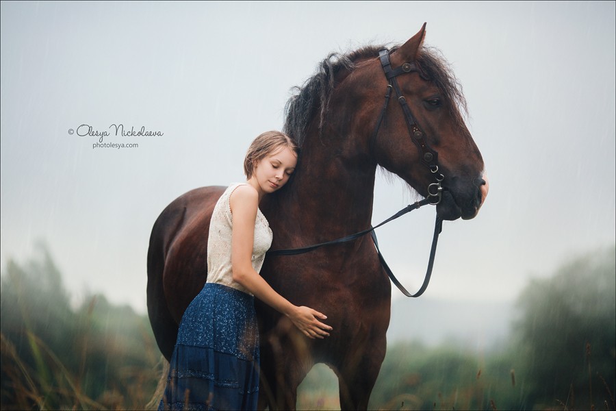  лошади и люди  ◆ horse and human