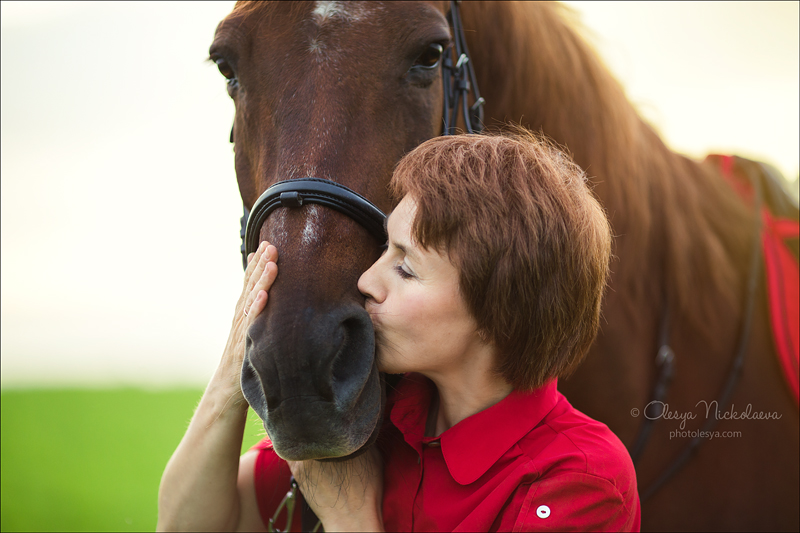  лошади и люди  ◆ horse and human