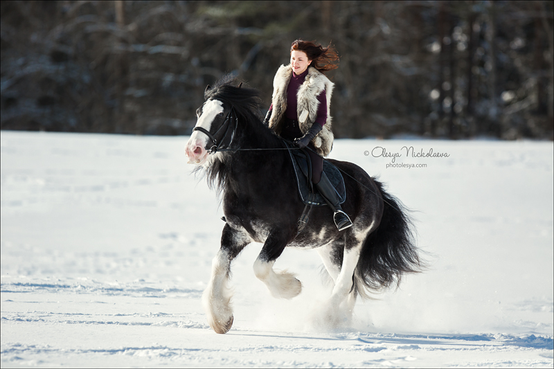  лошади и люди  ◆ horse and human