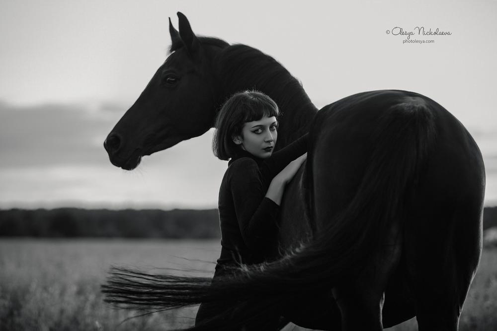  лошади и люди  ◆ horse and human