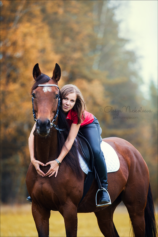  лошади и люди  ◆ horse and human