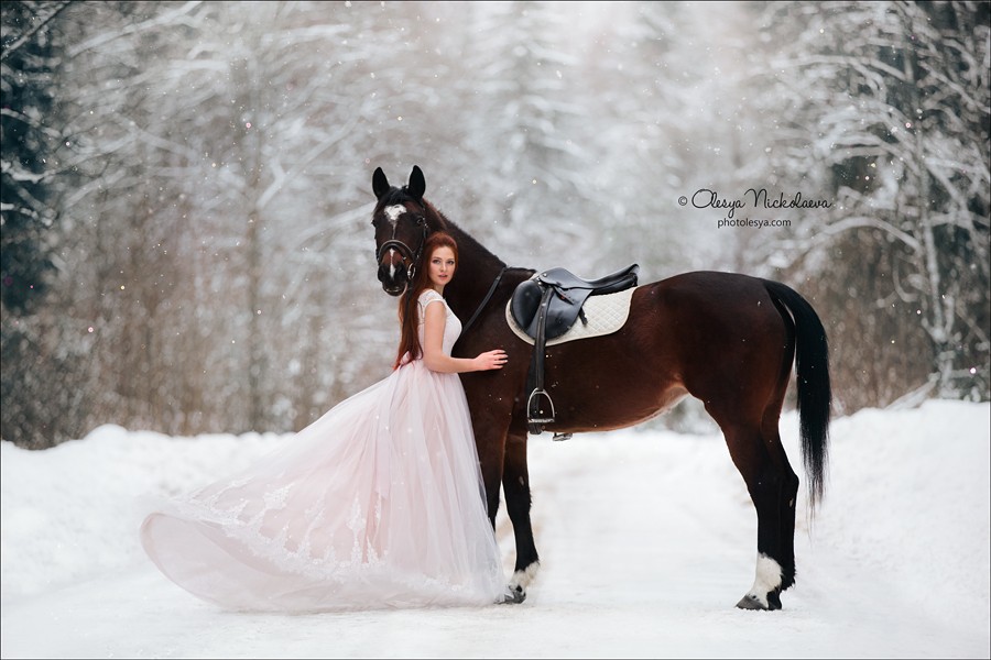  лошади и люди  ◆ horse and human