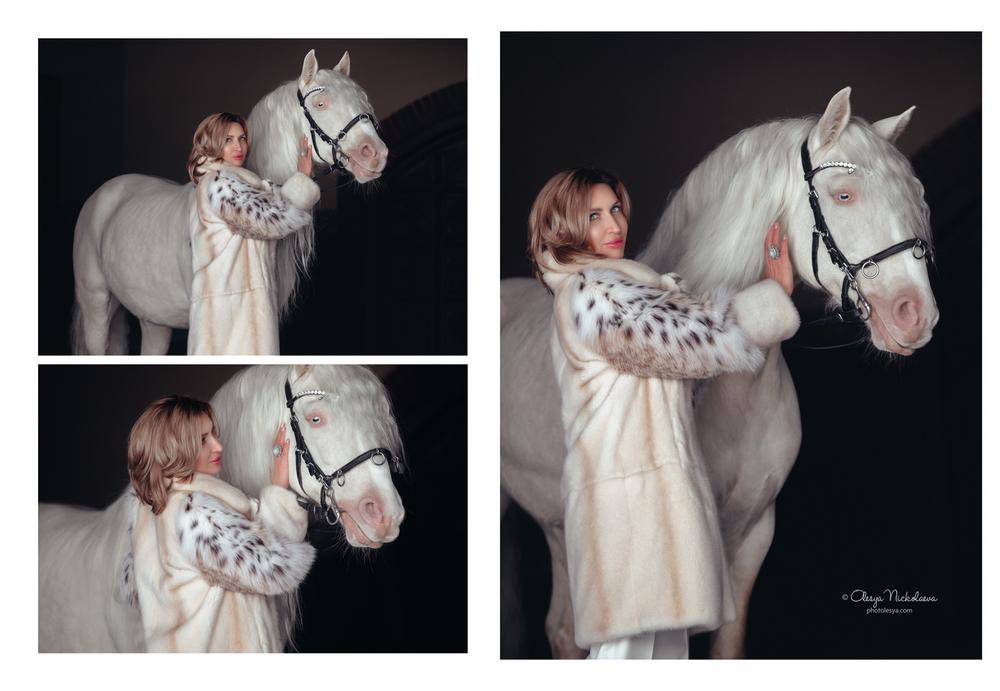  лошади и люди  ◆ horse and human
