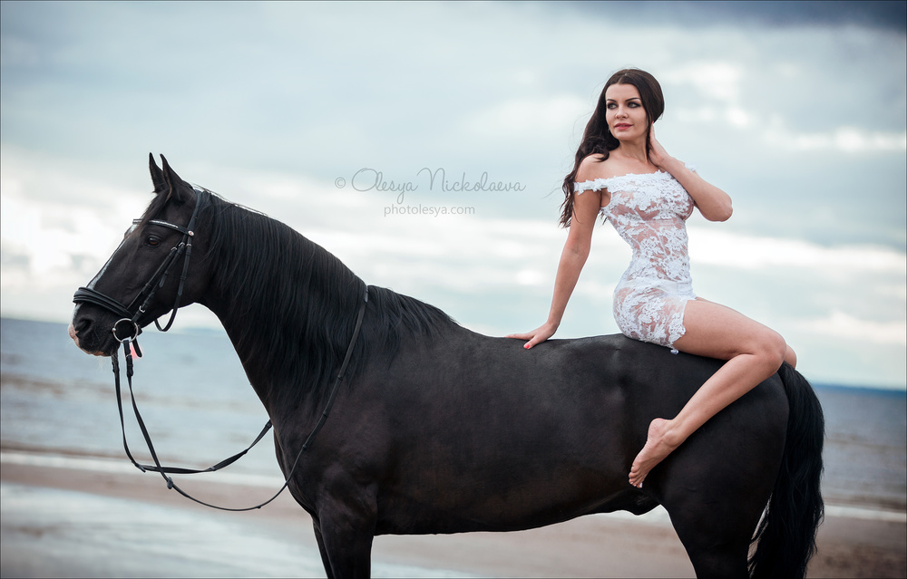  лошади и люди  ◆ horse and human
