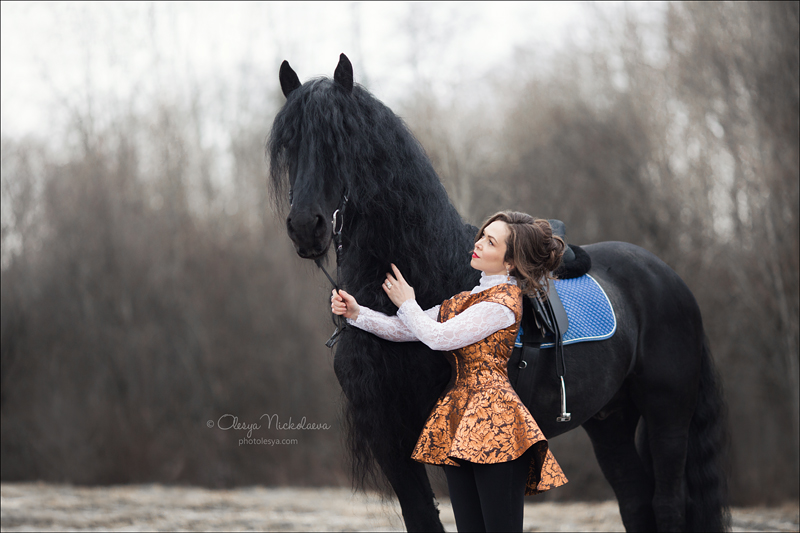  лошади и люди  ◆ horse and human